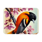 メリーランド州バードボルチモアオリオール マグネット (横)