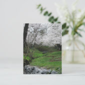 メリーランド州ベテスダの春 ポストカード (スタンド正面)