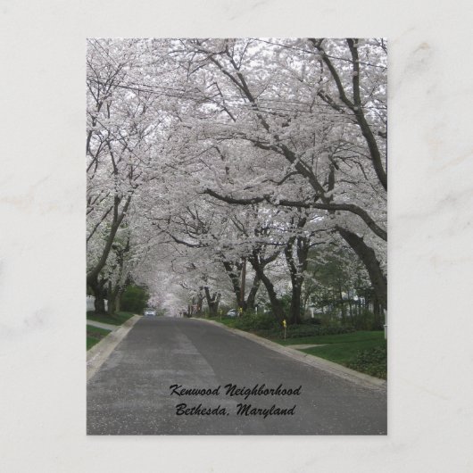メリーランド州ベテスダ市街ケンウッド地区 ポストカード (正面)
