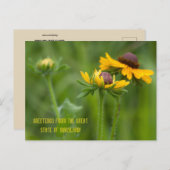 メリーランド州花 ポストカード (正面/裏面)