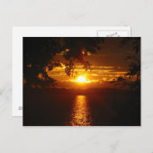 メリーランド2005 ポストカード (正面/裏面)