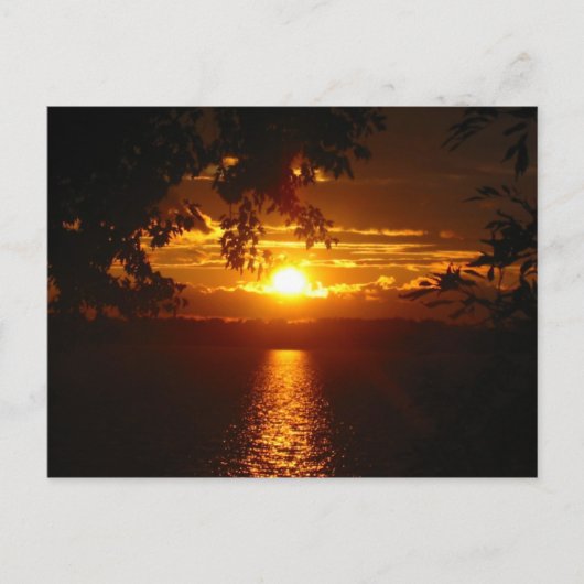 メリーランド2005 ポストカード (正面)