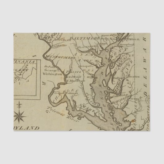 メリーランド5 薄葉紙 (正面)