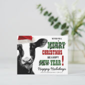 メリー乳クリスマス シーズンポストカード (スタンド正面)