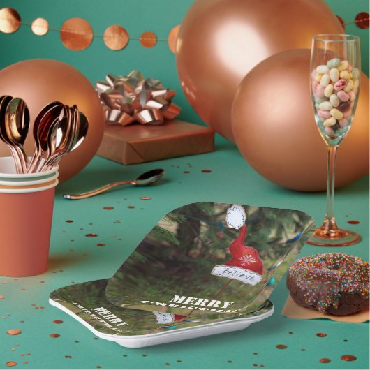 メリー信じス・クリスマス・サンタズ・ハット ペーパープレート (複数)