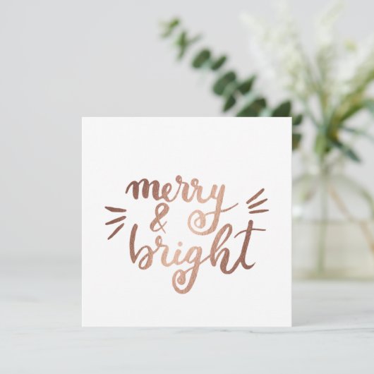 メリー明るい (スタンド正面)