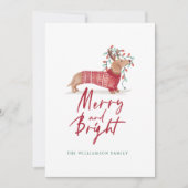 メリー明るい | Dachshundクリスマスセーター シーズンカード (正面)