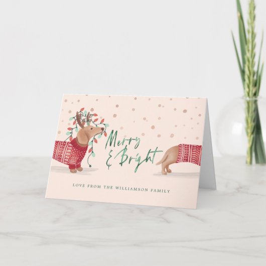 メリー明るい | Dachshund Dogクリスマスセーター シーズンカード (正面)