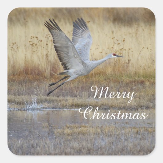 メリー来・クリスマス一緒に飛んで スクエアシール (正面)