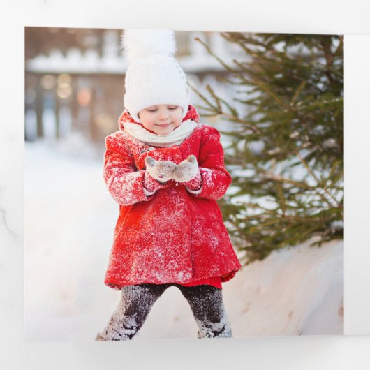 メリー魔法 |スノ素朴フレークの数々の写真 三つ折りクリスマスカード (内部最初)