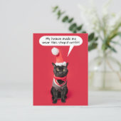 メリー・クリスおもしろいマス・キャット・イン・ホリデー・洋服 シーズンポストカード (スタンド正面)