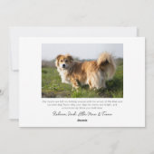 メリー ファースト クリスマス フォト, ベリー & グリーン (裏面)