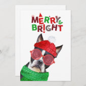 メリー&ブライトボストンテリアグラスハットスカーフ シーズンカード (正面/裏面)