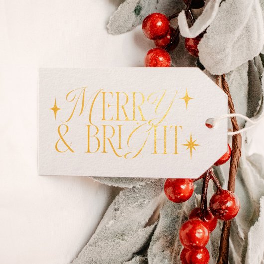 メリー&ブライトレトロスター ギフトタグ