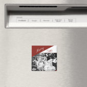 メリー、メリー磁石 マグネット (インサイチュ (食洗機))