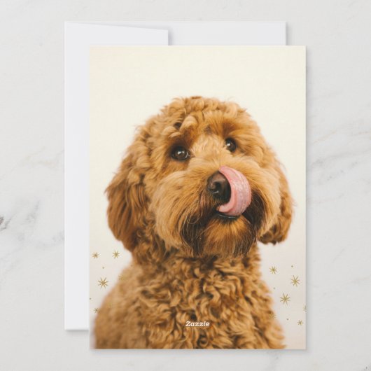 メリー&明るい可愛いドードルドッグクリスマス シーズンカード (裏面)