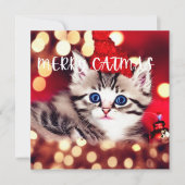 メリーCatmas Purfectクリスマスカード シーズンカード (正面)