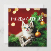 メリーCatmas Purfectクリスマスカード シーズンカード (正面)