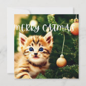 メリーCatmas Purfectクリスマスカード シーズンカード (正面)