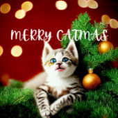 メリーCatmas Purfectクリスマスカード シーズンカード