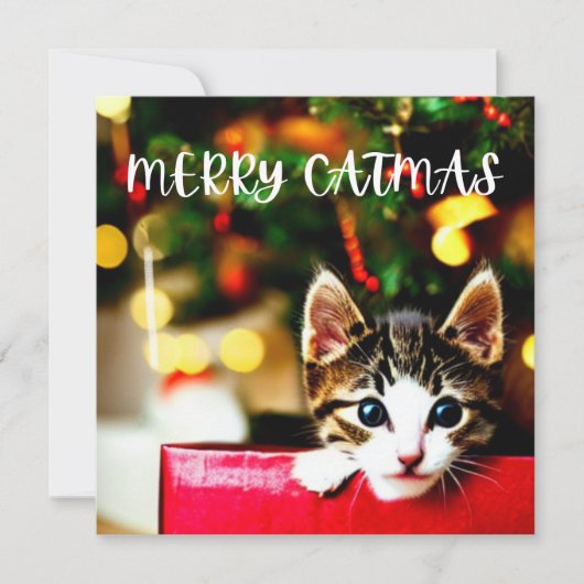 メリーCatmas Purfectクリスマスカード シーズンカード (正面)