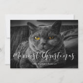 メリーChristmasエレガント Family Photo シーズンカード (正面)