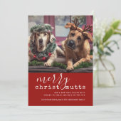 メリーChristMUTTS犬写真可愛いシンプル シーズンカード (スタンド正面)