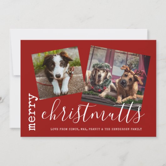 メリーChristMUTTS Dog Photo Pets シーズンカード (正面)