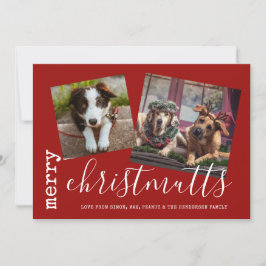 メリーChristMUTTS Dog Photo Pets シーズンカード