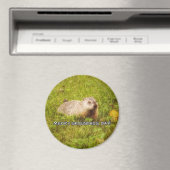 メリーGroundhog Dayマグネット マグネット (インサイチュ (食洗機))