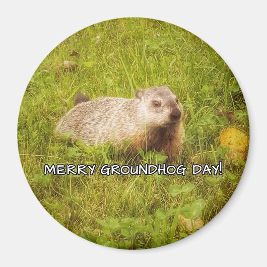メリーGroundhog Dayマグネット マグネット (正面)