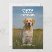 メリーVibes Forever Dog写真クリスマス シーズンカード (正面)