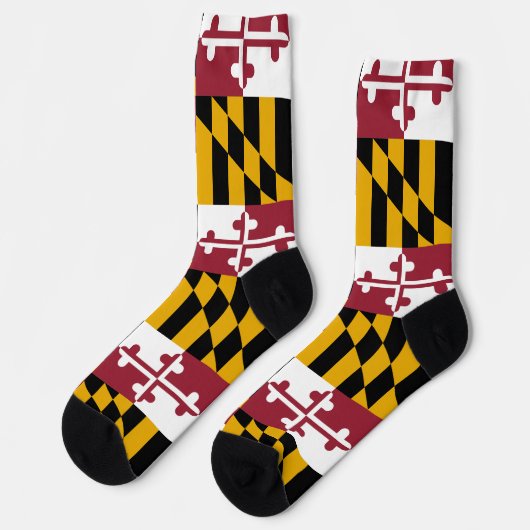 メリ地球に優しランド州旗を持つメンズクルーソックス ソックス (左)