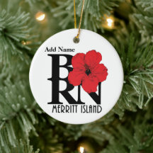 メリ生まれット島赤ハイビスカス切断可能