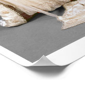 メリ結婚アのドレ擦り切れたス,プリンセス王室の, 1922 ポスター (角)