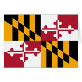 メリ鮮やかランド州旗 (正面横)