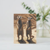 メルカットのポスターズ ポストカード (スタンド正面)