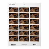 メルカットの住所ステッカー ラベル (フルシート)