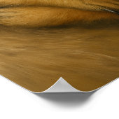 メルカットの愛情 ポスター (角)