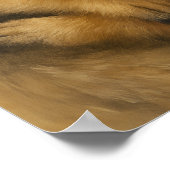 メルカットの愛情 ポスター (角)