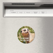 メルカットの見張り マグネット (インサイチュ (食洗機))