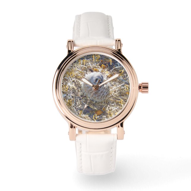 メルカットは建物は巣だ。 腕時計 (正面)