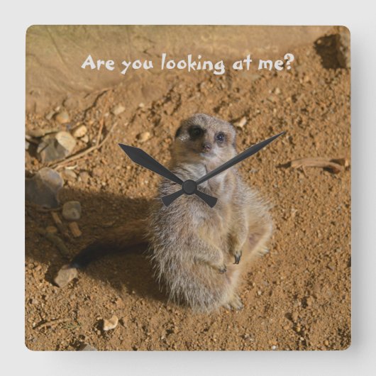 メルカットエンクローおもしろいルジュラスパーク スクエア壁時計 (正面)