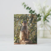 メルカットオンガードデューティ、ハッピーバースデー ポストカード (スタンド正面)