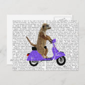 メルカットオン薄紫モップ ポストカード (正面/裏面)