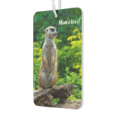 メルカットカーエアーフレッシュナー カーエアーフレッシュナー (左)