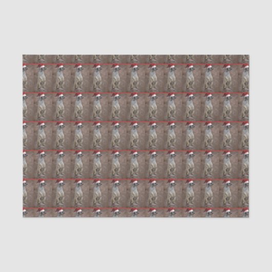 メルカットサンタクロース 薄葉紙 (正面)