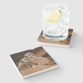 メルカットスクエアコースター ストーンコースター (横)