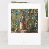 メルカットブルー蝶、ジャンボ誕生日カード。 カード (裏面)