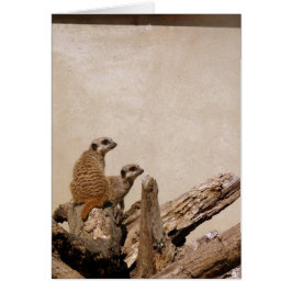 メルカットルックアウト